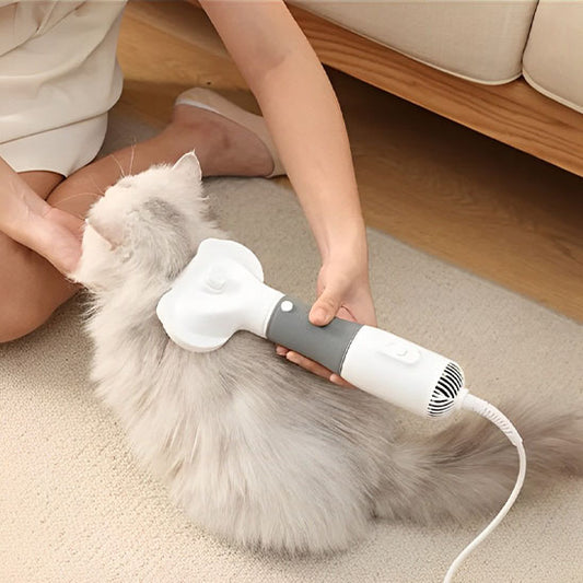 Brosse chat soufflant pour le séchage du poils