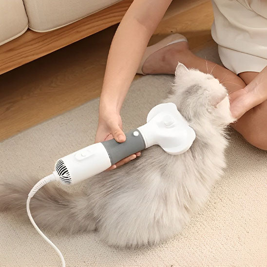 Brosse chat soufflante pratique