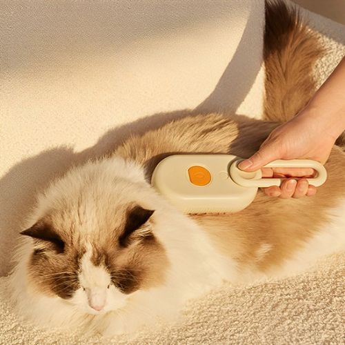 Brosse_pour_chat_brosse