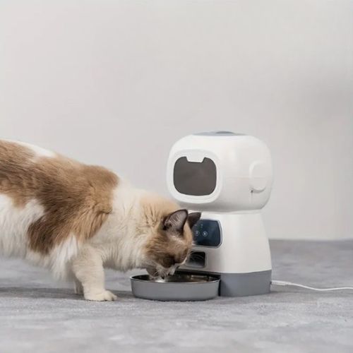 Distributeur de croquette chat automatique