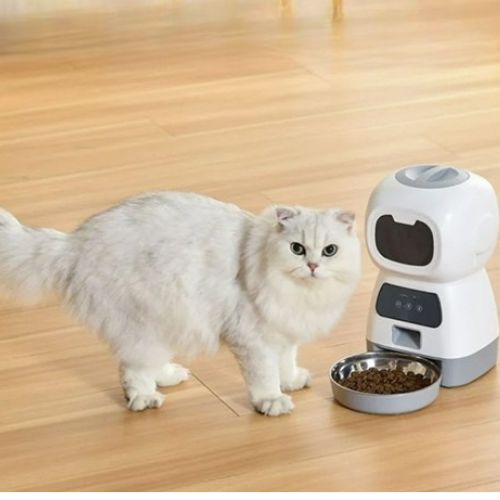 Distributeur de croquette chat automatique et wifi