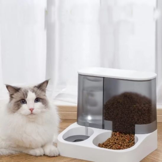 Distributeur de croquette chat et eau pratique