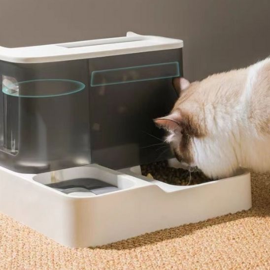 Distributeur de croquette pour chat pratique et de grand format