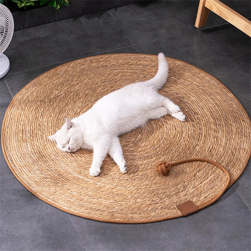 Griffoir pour chat comme un tapis avec balle