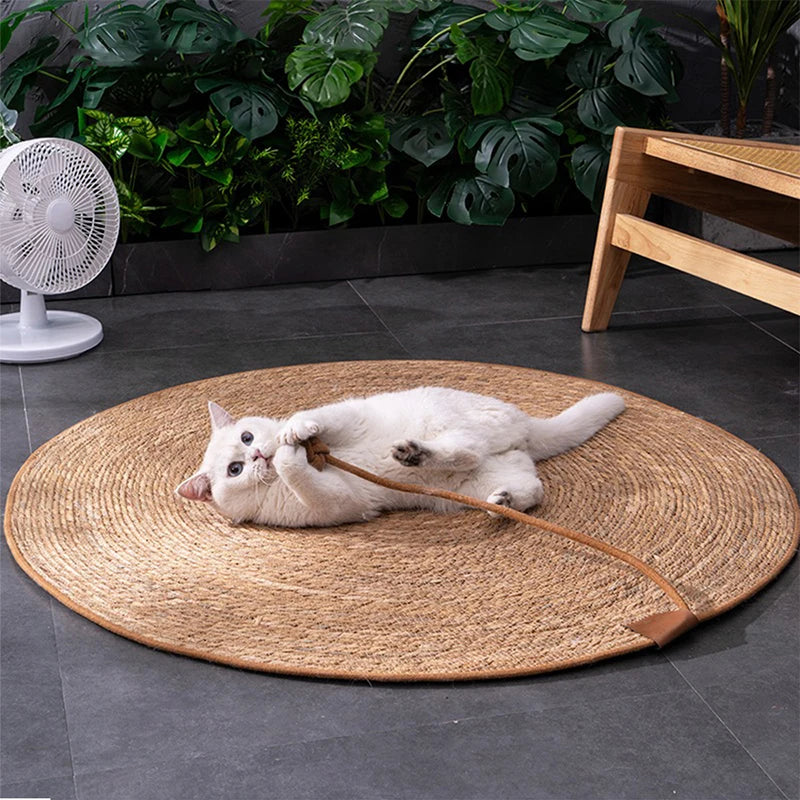 Griffoir pour chat tapis rond avec balle