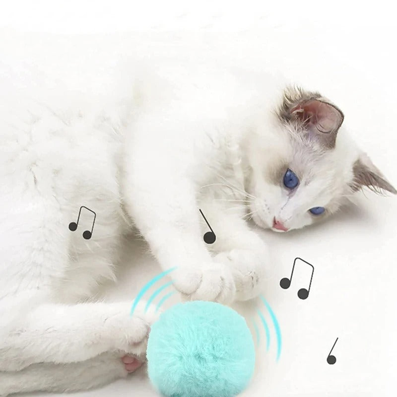 Jeux_pour_chat_balle_musique